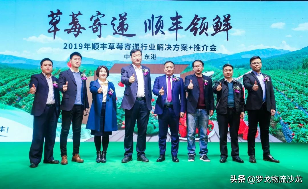 顺丰草莓配送,顺丰航空草莓价格