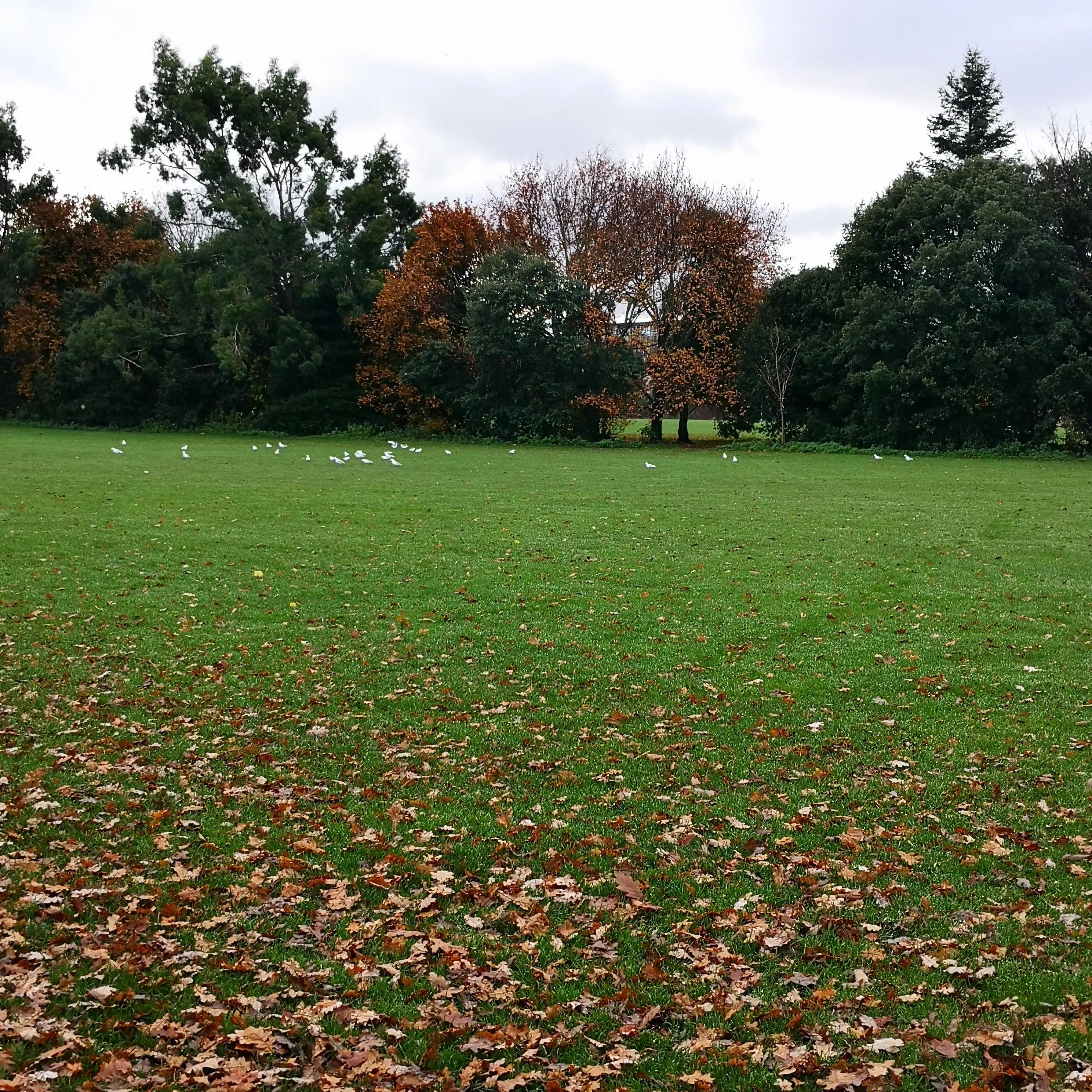 说说喝茶如何治愈了我的胃病？