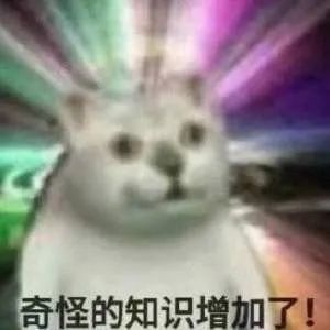 猫在啪啪啪的时候,也有快感吗?