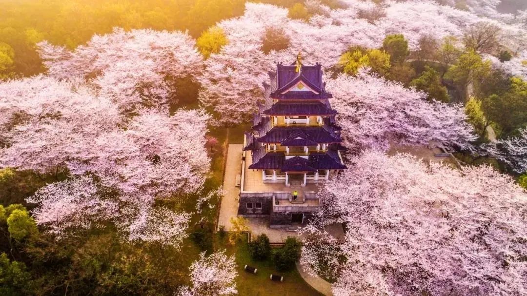 江苏无锡十强镇排名,无锡上榜中国最具幸福感城市