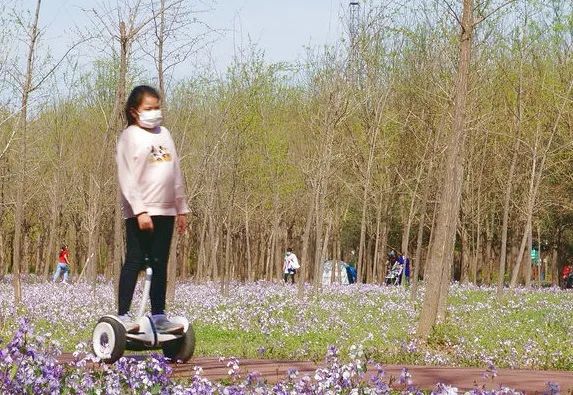 北京戒台寺郊野公园,北京燕山东岭郊野公园