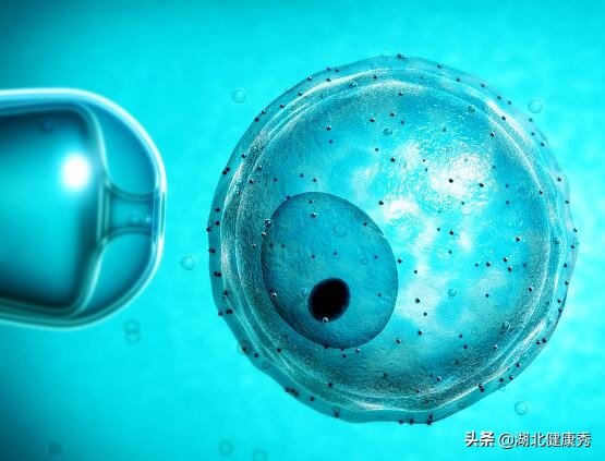 试管婴儿奇葩问题,做试管婴儿是谁的问题