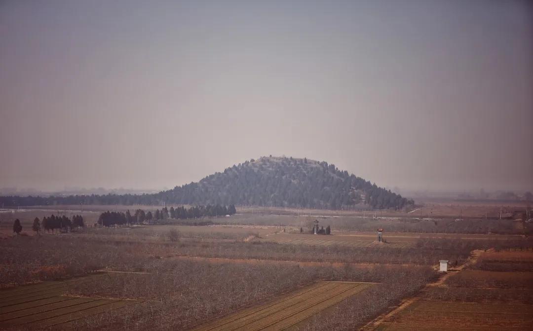 姹夊攼閬楅煹鏈夊鍘夊,姹夊攼閬楀潃鍘嗗彶