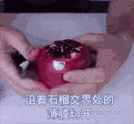 突尼斯软籽石榴可以不用吐籽吗,突尼斯软籽石榴吐籽