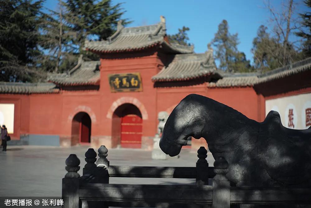 洛阳第三职专,洛阳第三季度gdp