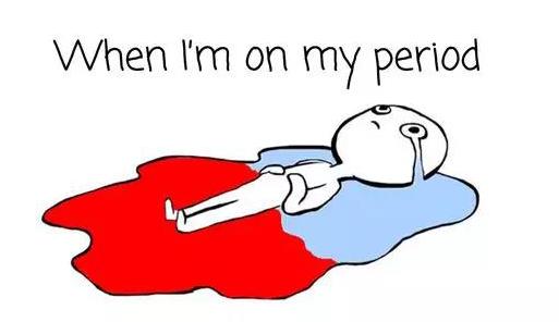 狗狗也会来姨妈嘛,狗狗来月经怎么办