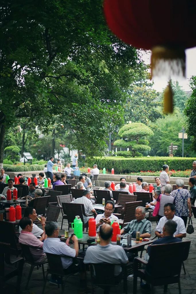 离上海仅1小时，这3座小众安静的江南名园，可惜大多数都没听过！