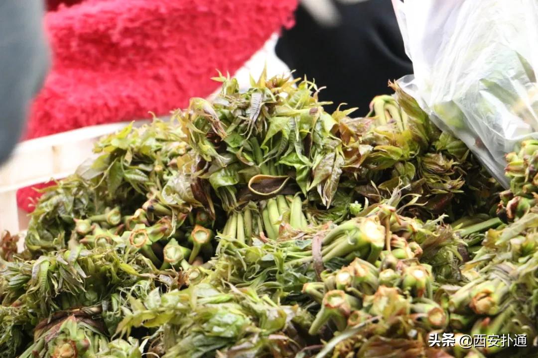 在西安,你一定要逛一次万寿路的早市