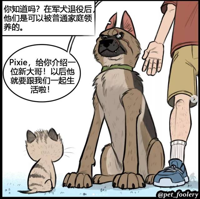 这反差萌也太有爱了，实力宠喵没商量！