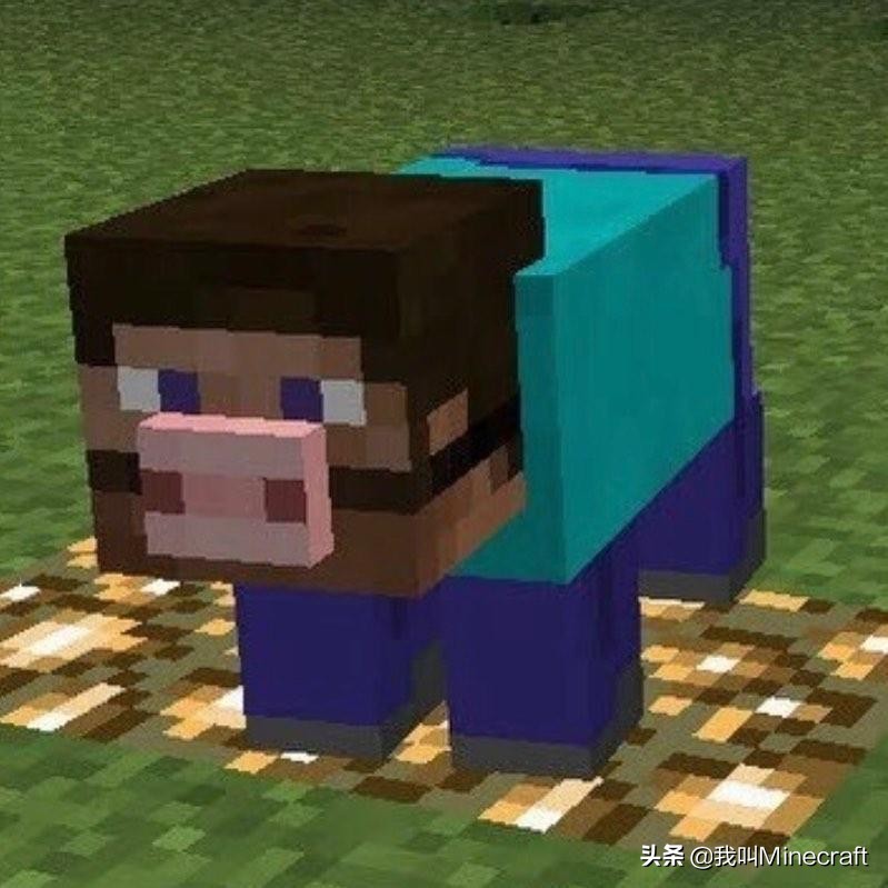 我的世界mc网图大揭秘,我的世界mc网图揭秘