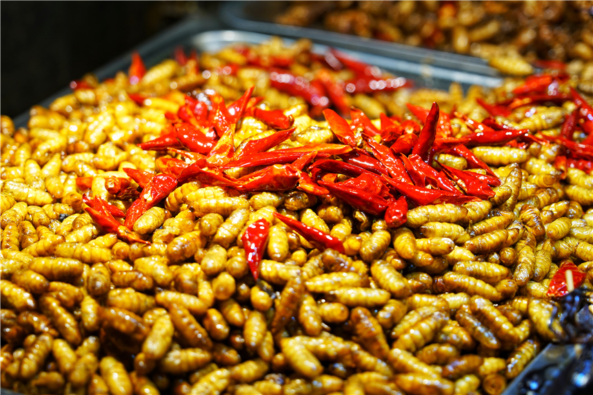 广西最不可思议城市,广西最奇葩的城市是哪个