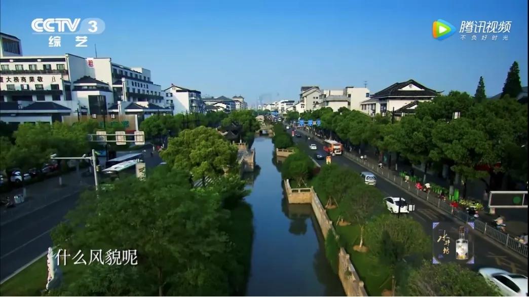 这株四百多年的紫藤，背后是整个江南园林