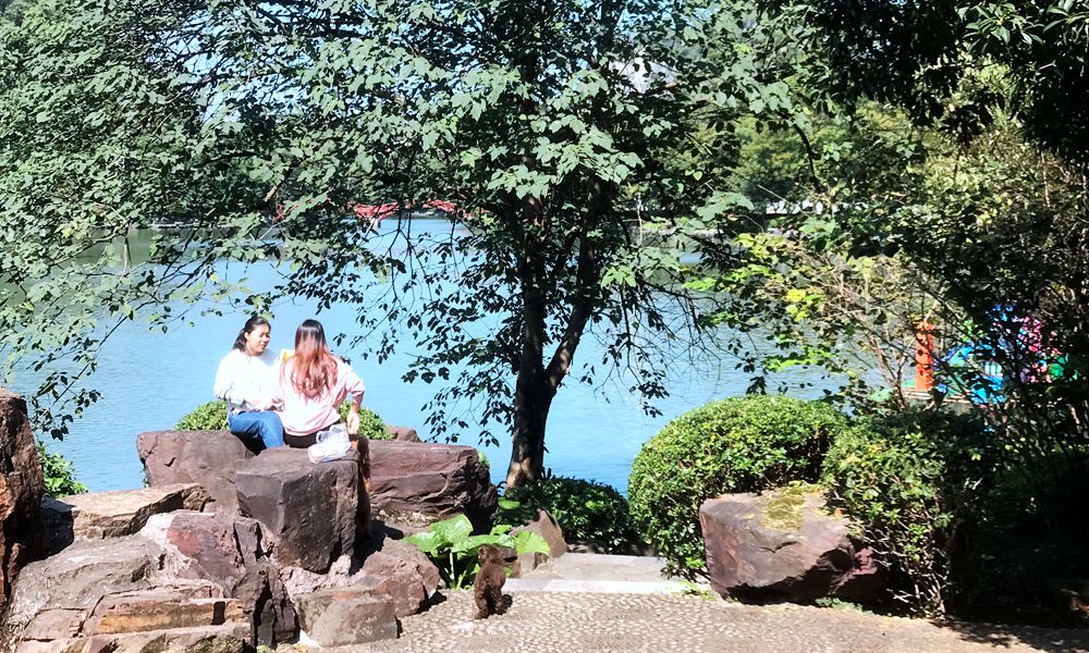 闹中取静旅游的地方,闹中取静的去处