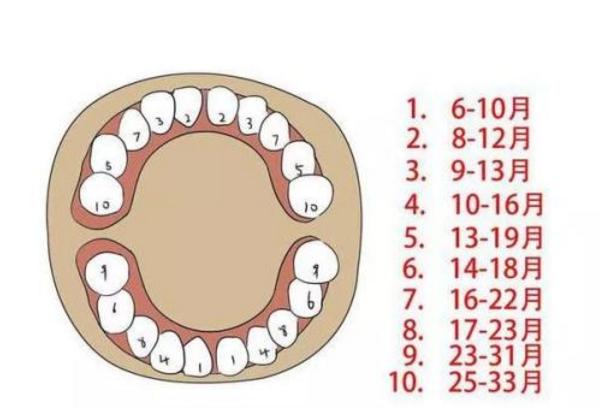 宝宝长牙的征兆和后期牙齿护理,宝宝牙齿长牙的正确顺序