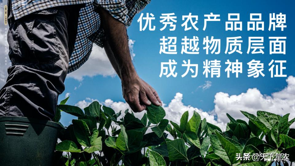 天下星农：如何让一个区域公用品牌市场化？（下篇）