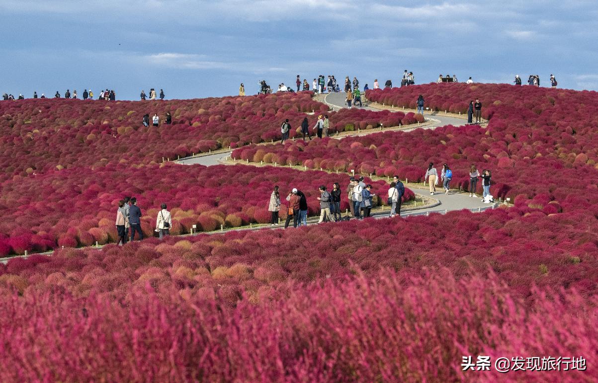 我们用来扫地的东西，在日本身价翻了千倍，还变成了旅游地标