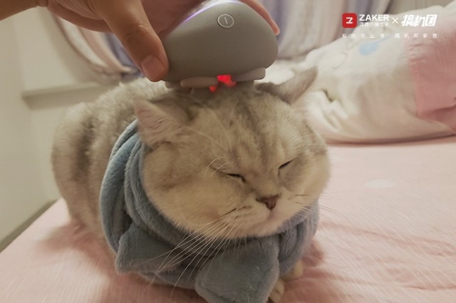 减压舒心*靠我**它，Breo养生小管家——倍轻松ScalpminiPro测评