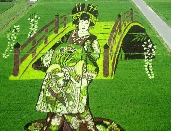 相差50年！“变态”的日本农业震撼中国农业经营者！引起轰动……