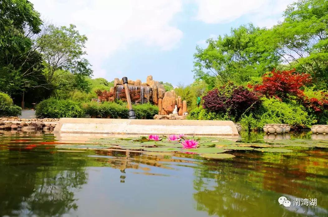 信阳十一假期旅游推荐,信阳南湾湖旅游攻略图