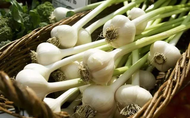 芸苔素磷酸二氢钾肥,你一定要知道的关键营养