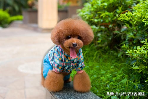 女性创业赚钱,40岁女性想自主创业适合做什么