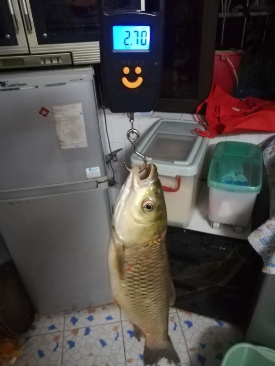 本汀神鹤战斗8.1测试,本汀神鹤爆强硬测评科学钓鱼