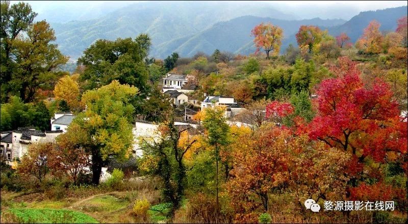 10月下旬徽州摄影推荐,金秋皖南婺源摄影之旅