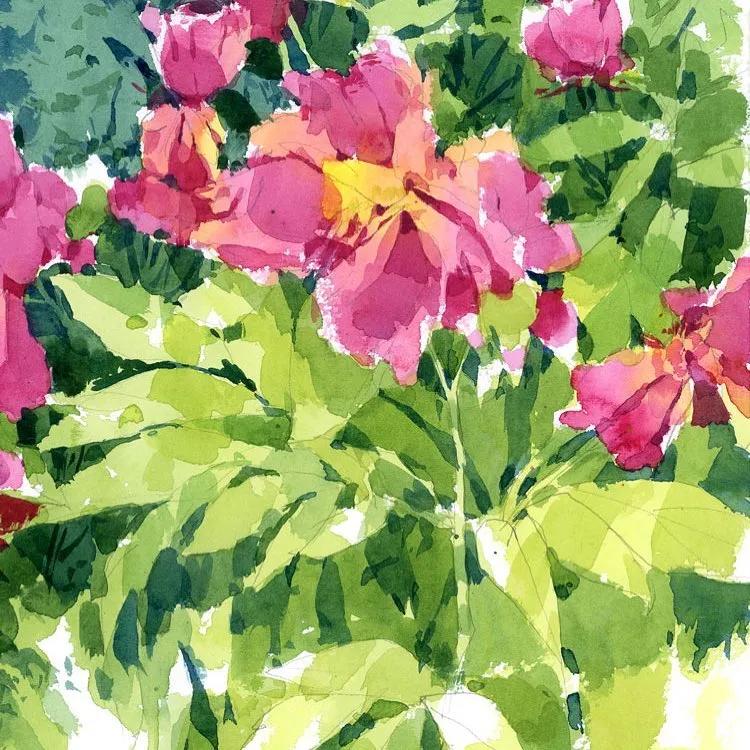 酣畅淋漓的水彩,酣畅淋漓水彩