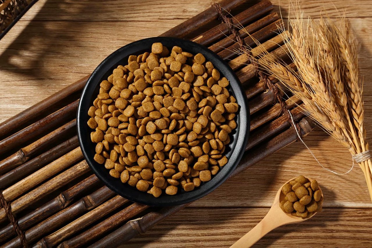 德牧胖一点还是瘦一些好,德牧很瘦吃什么调理