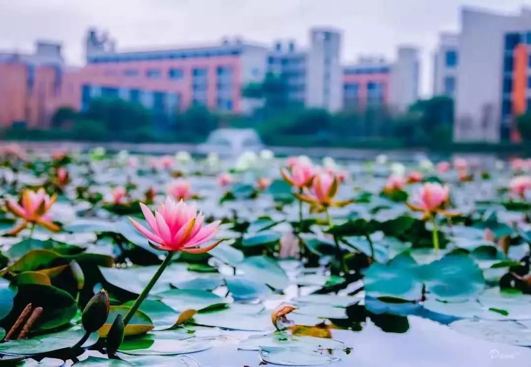 珠海城市职业技术学院宿舍分数线,珠海城市职业技术学院2003录取分