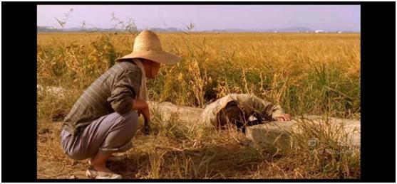 韩国真实改编案件历时33年告破,韩国真实事件改编的案件