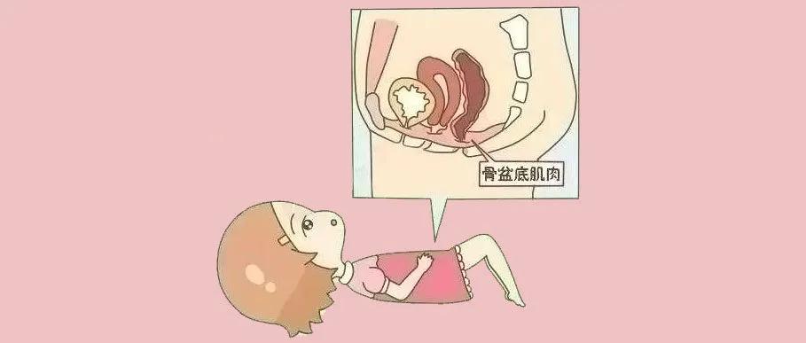 剖腹产盆底会松弛吗,剖腹产盆底就不会松了吗