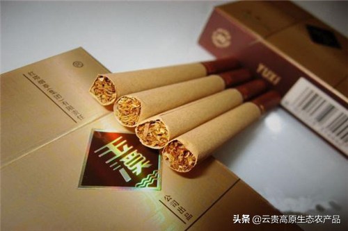 云南玉溪元江特产图片,玉溪通海县十大特产