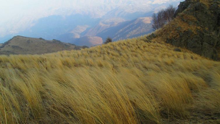 北京到江西婺源自驾游攻略,北京出发贵州自驾游最佳攻略