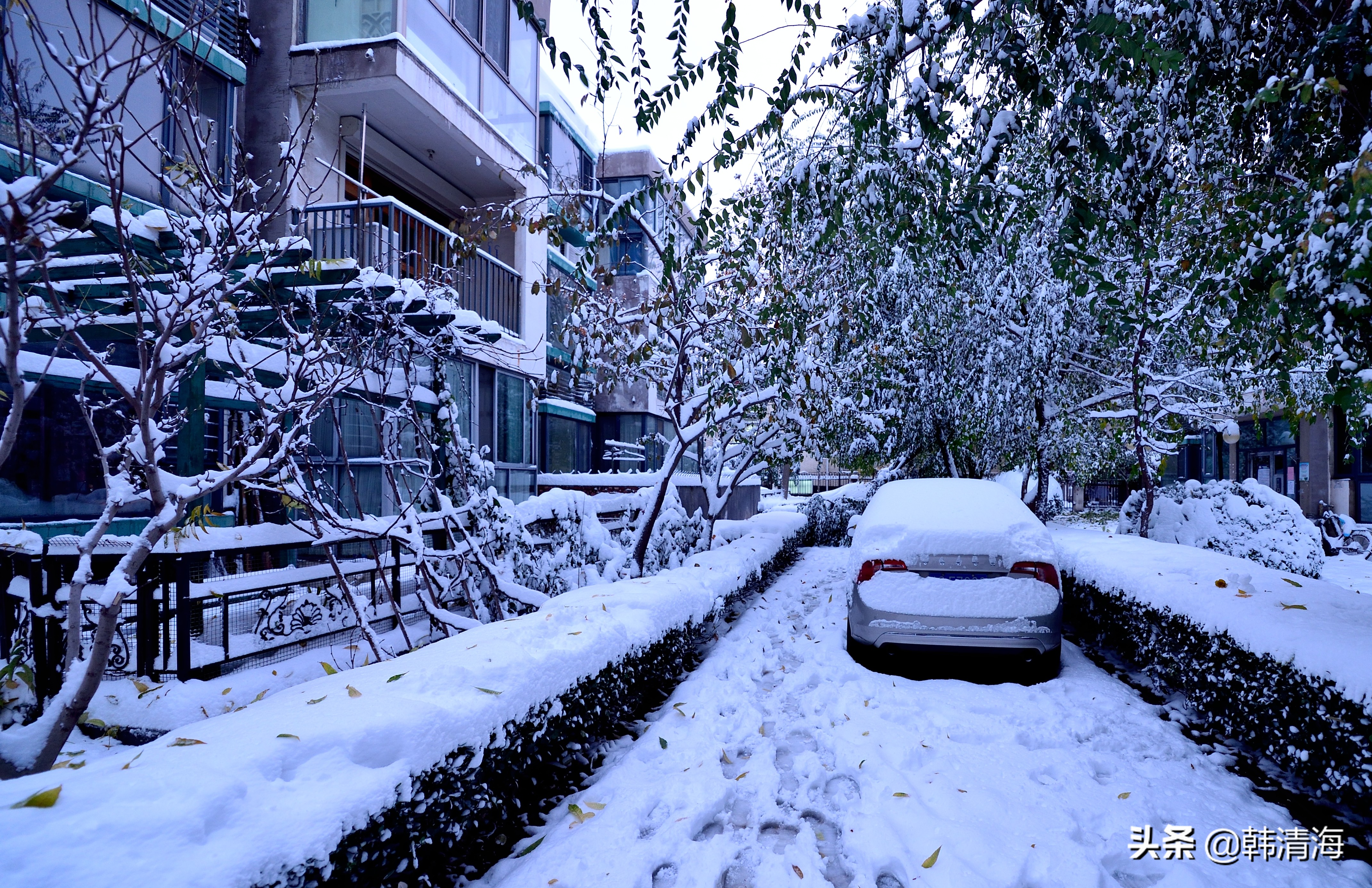 2021天津第一雪水畔花园小区装扮得更加圣洁和美丽