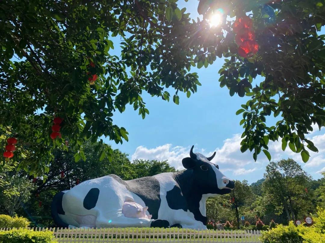 此心安处是吾乡21预告,此心安处是吾乡全季