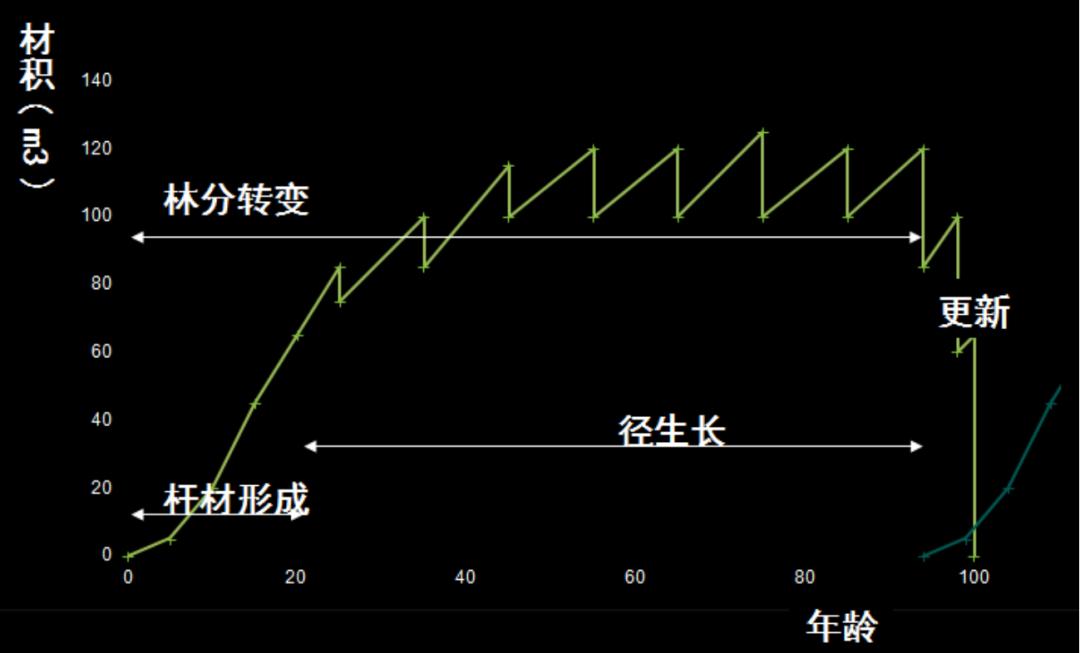树木由来,树木从远古到现在