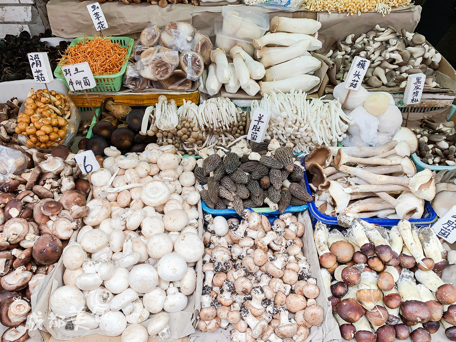 被学生吐槽最多的中医大老校区,没想到还是个“宝藏地”