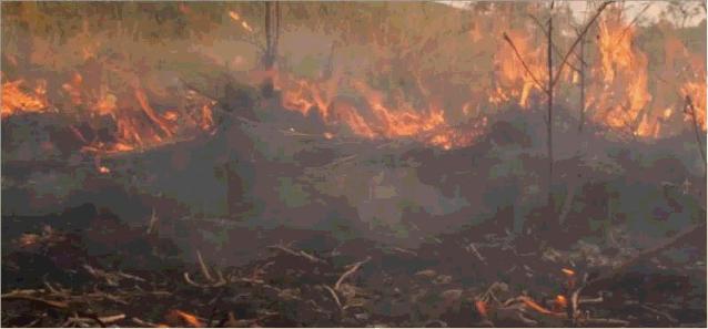 一九八七大火灾原因,回望火灾