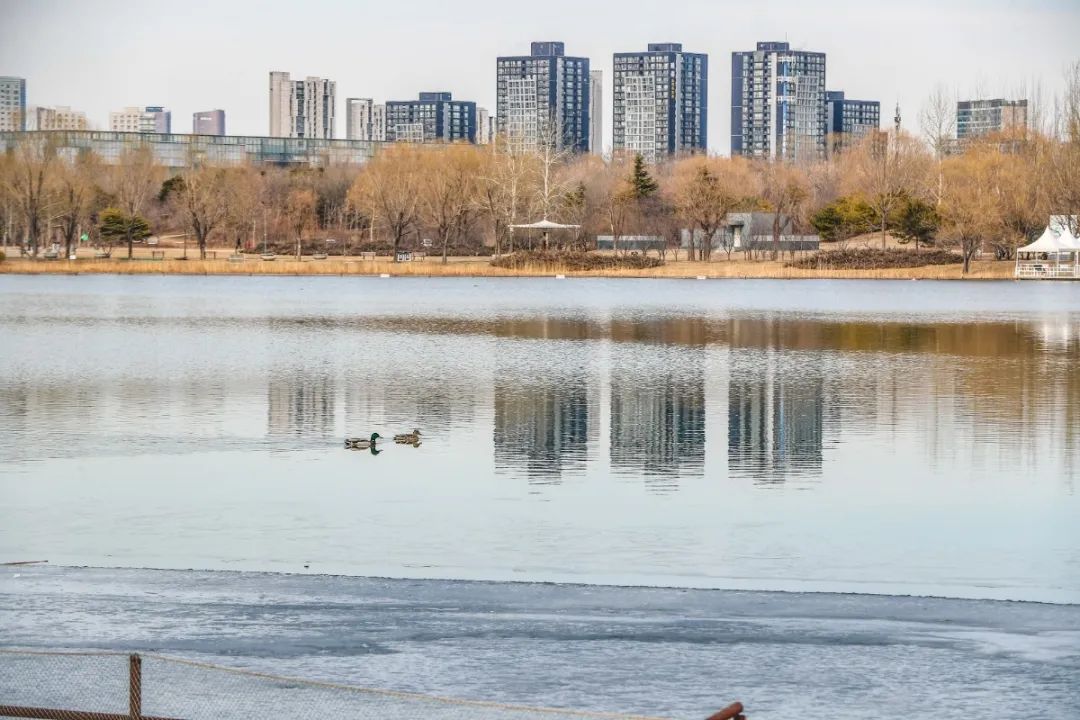出行安全宝典,北京旅游安全攻略