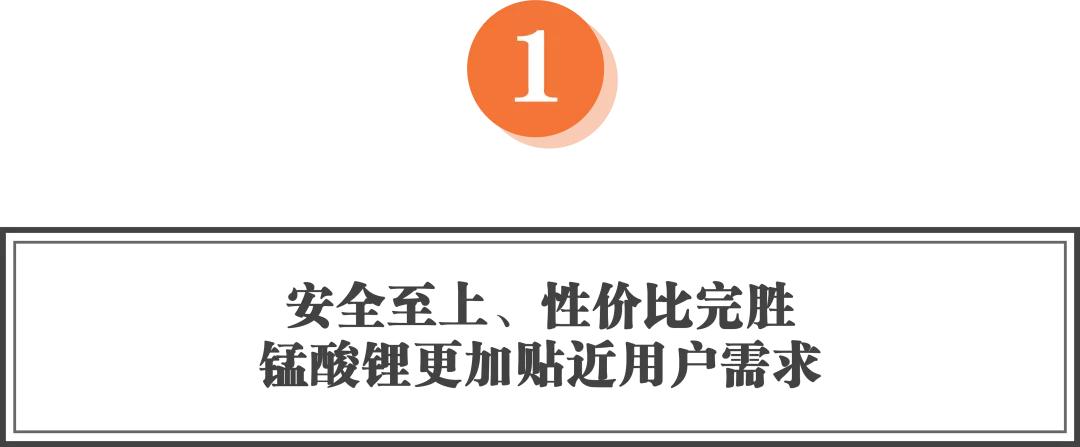 两轮电动车用的是锰酸锂吗,两轮电动车锰酸锂电池