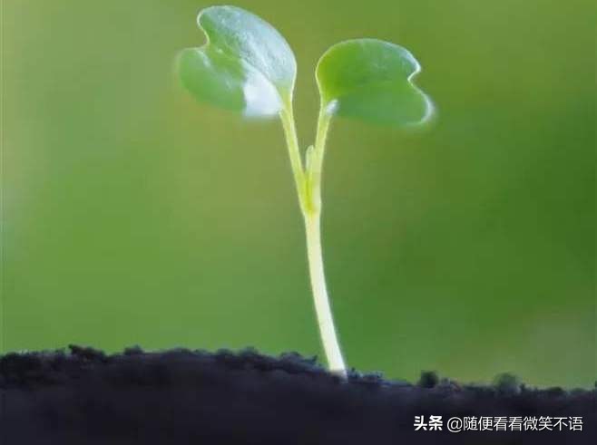 初二成绩差不及格父母怎么办,初二没学好能留级吗