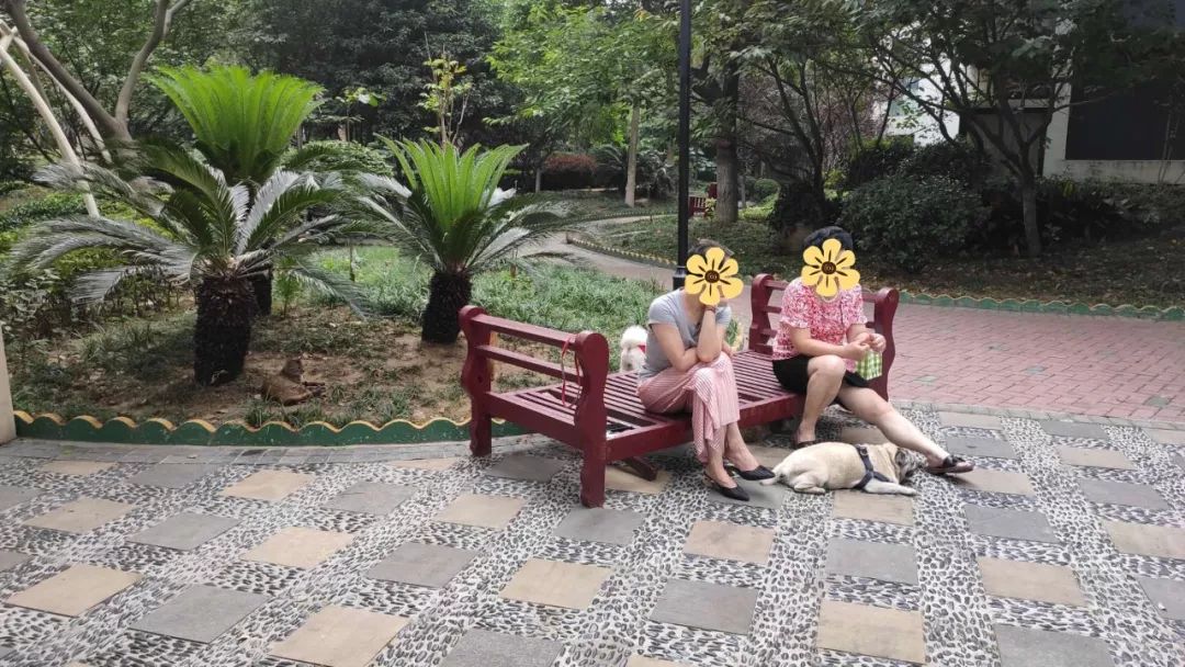 是谁给你的勇气原版视频,是谁给你的勇气歌曲