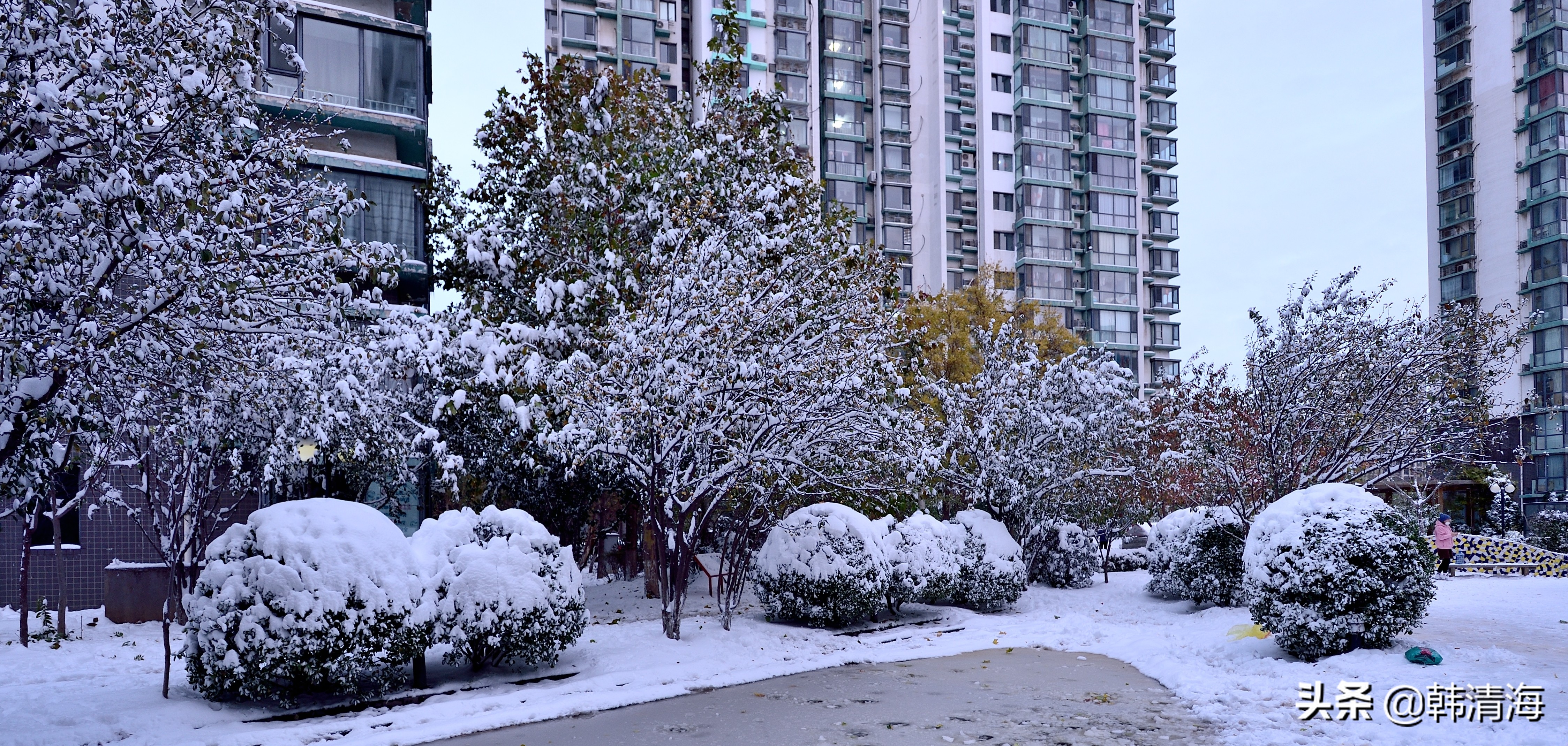 2021天津第一雪水畔花园小区装扮得更加圣洁和美丽