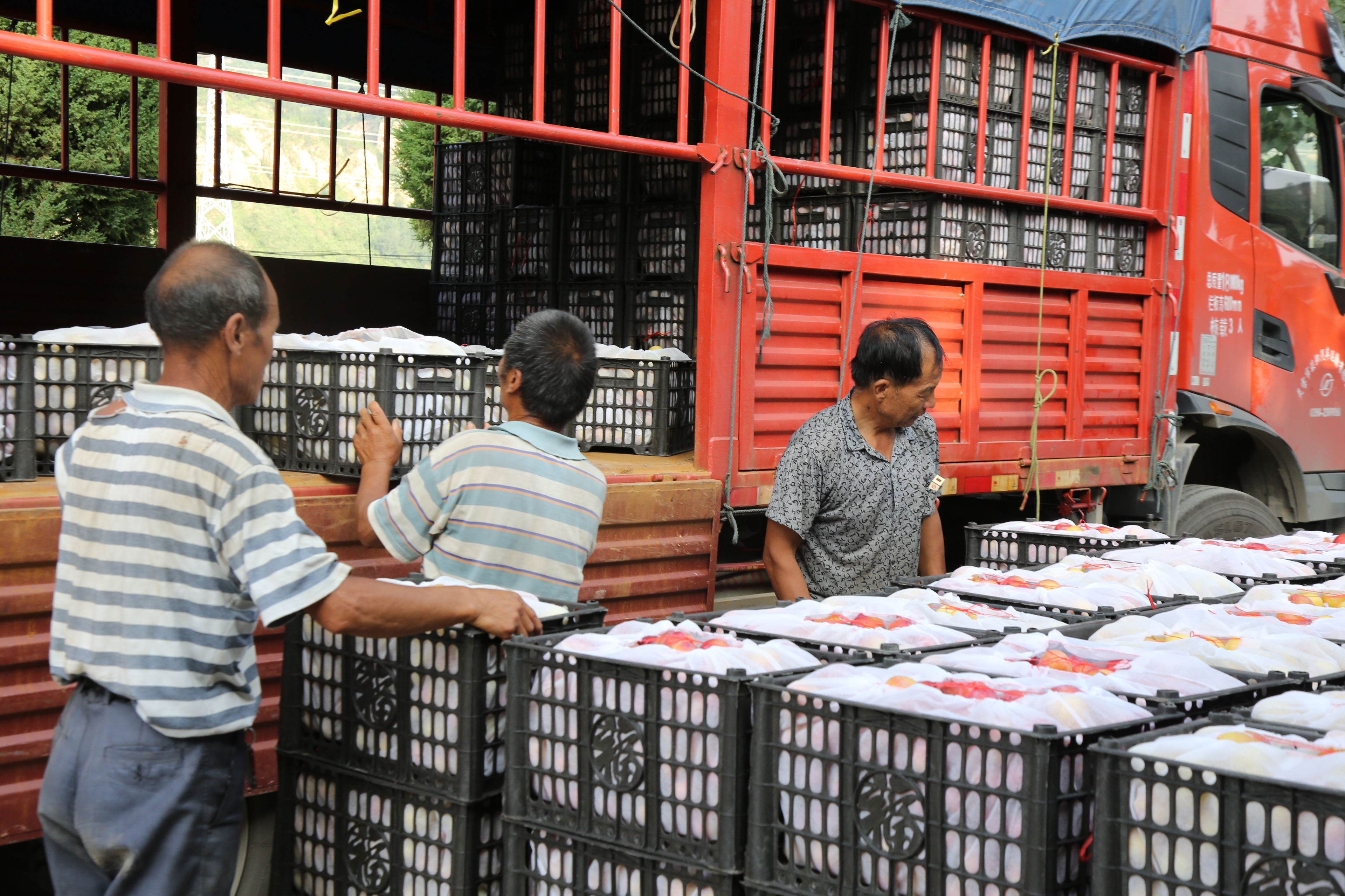 吉祥三宝代县,吉祥三宝柳林村图片