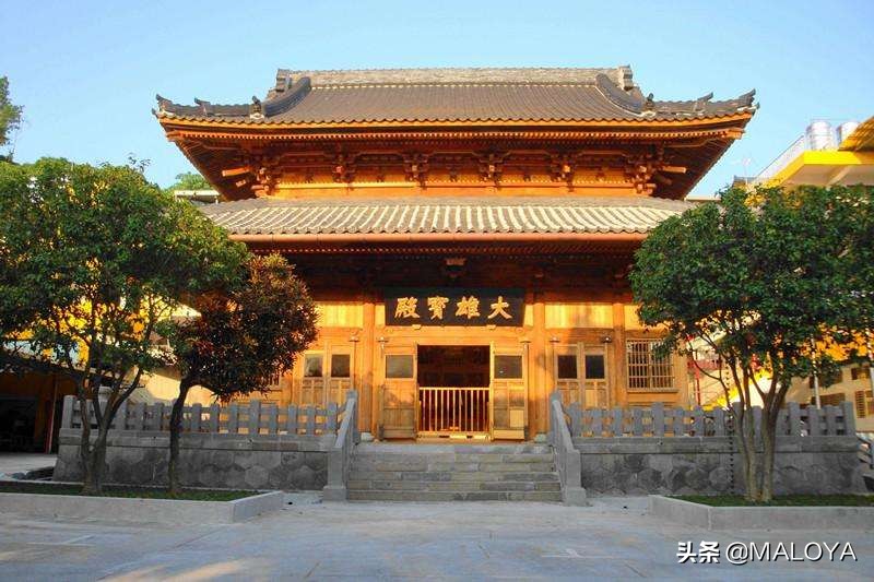杭州灵隐寺1700年菩提树开花,杭州灵隐寺旅游全攻略