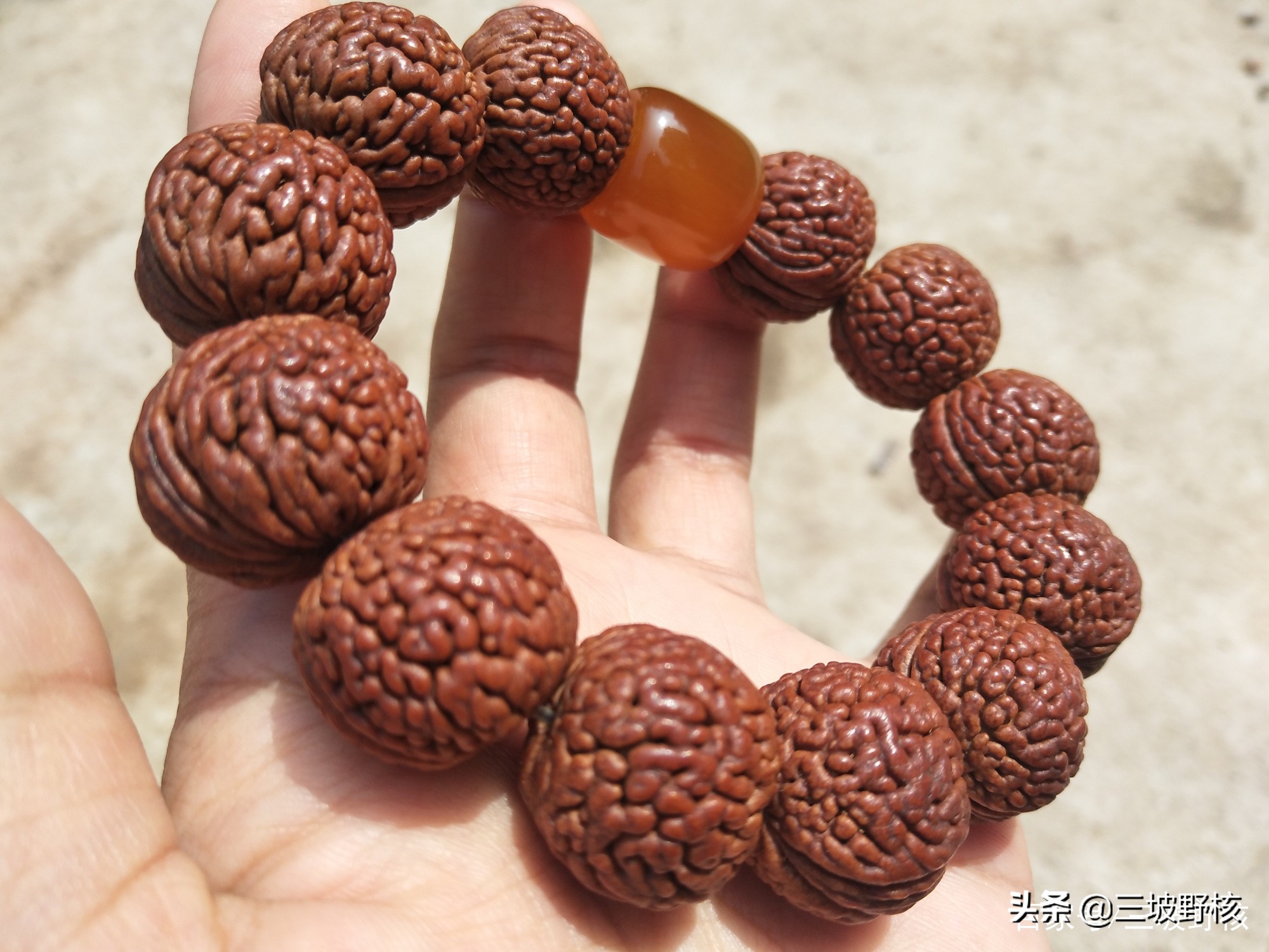 蚂蚁纹西瓜纹火焰纹,桃核蚂蚁纹和荔枝纹的区别