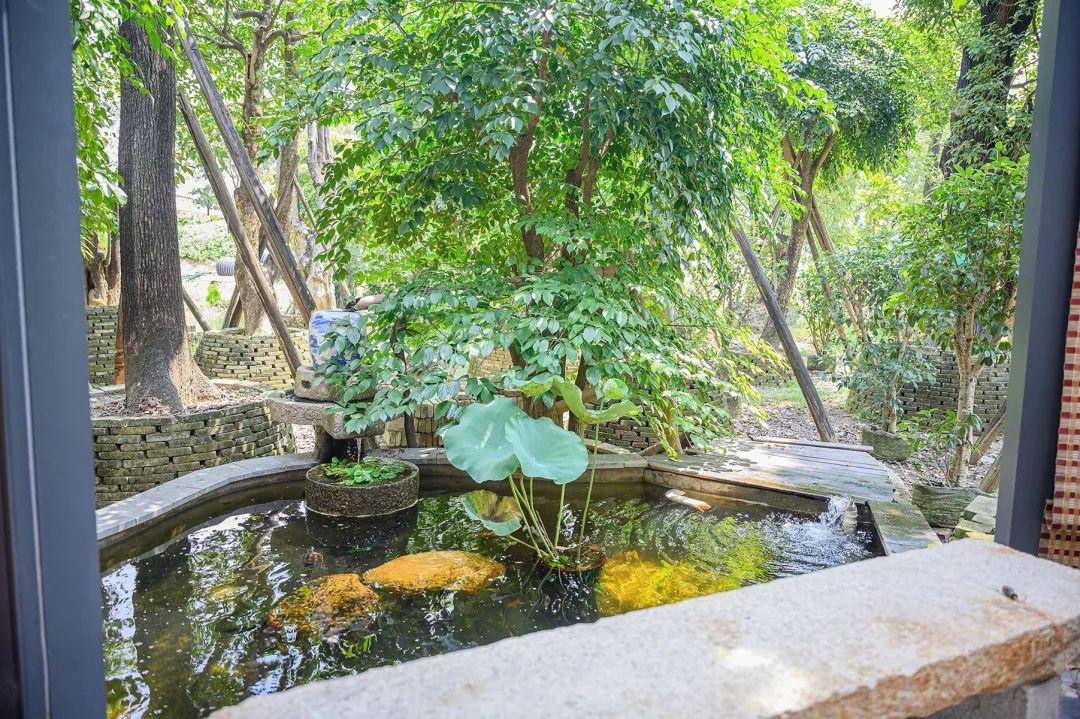 隐藏在顺德的一家园林私房菜,佛山中式园林私房菜