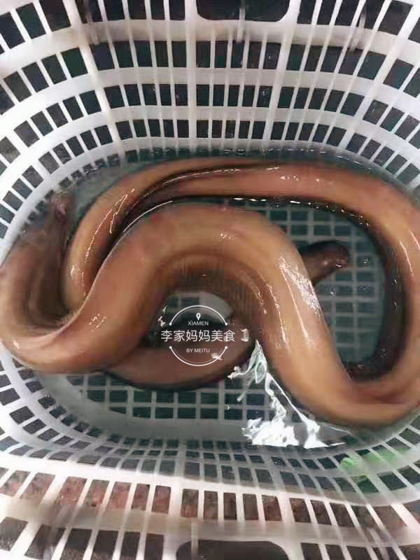 过年海鲜干货必备清单,过年海鲜什么最好吃又便宜