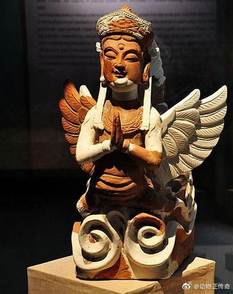 旦增尼玛第一次唱中国新歌,旦增尼玛唱最炫民族风